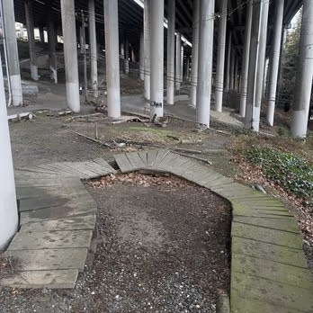I-5 Colonnade Dog Park